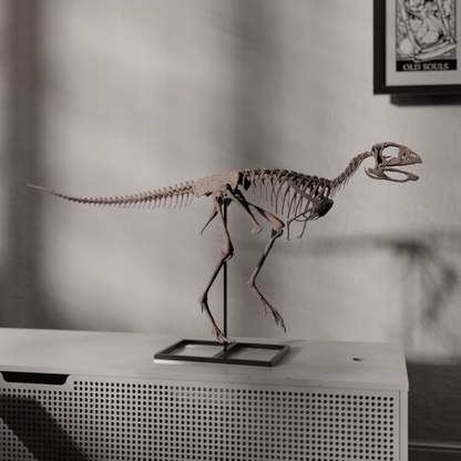 Berthasaura