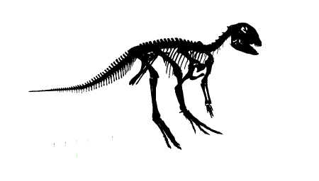 Hypsilophodon