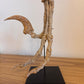 Raptor Killing foot (SHRI RAPAX)