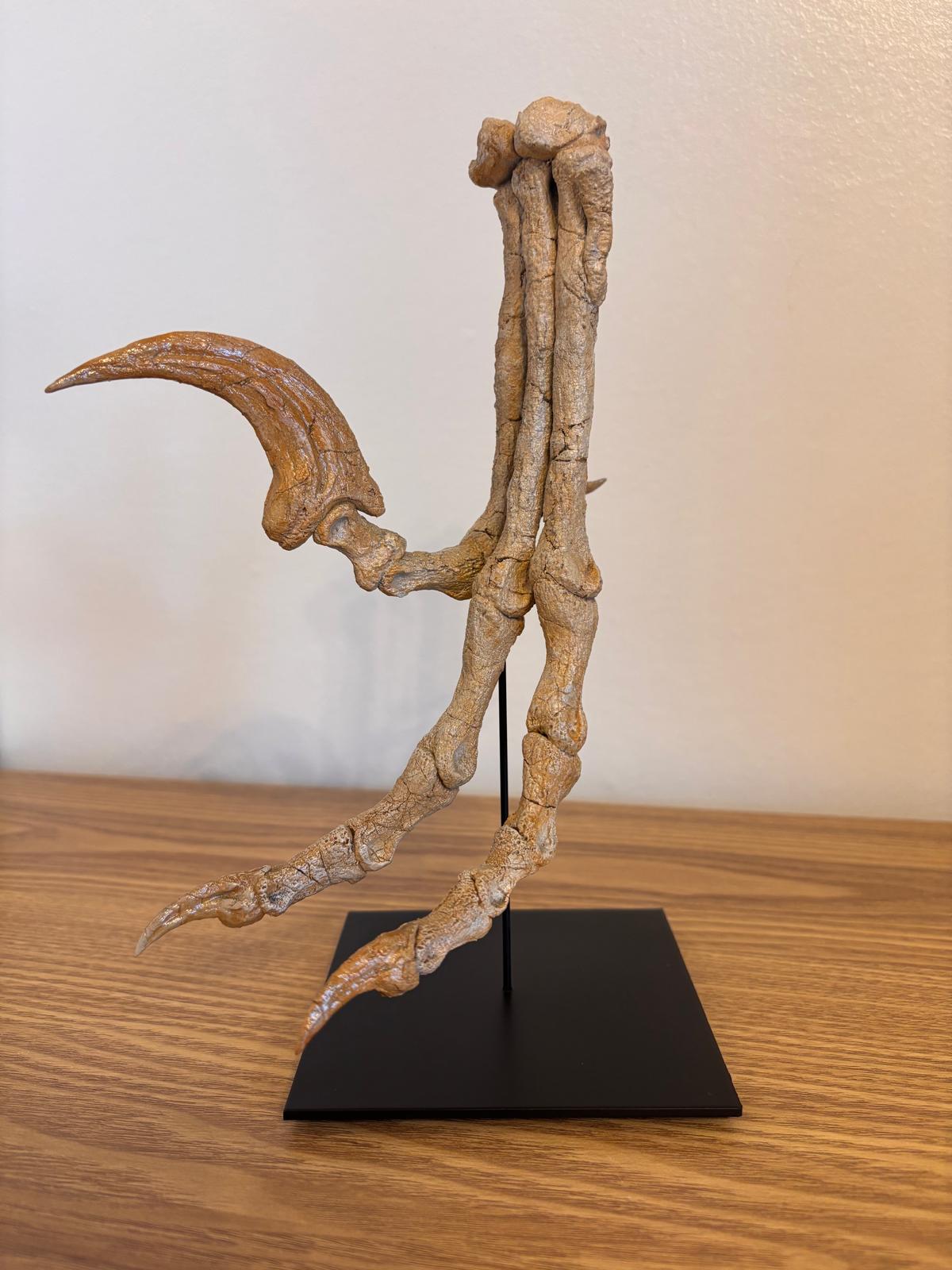Raptor Killing foot (SHRI RAPAX)