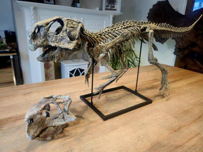 Psittacosaurus