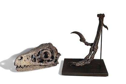 Bambiraptor Killing Claw Foot - Mounted on bespoke steel stand.