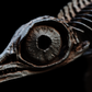 Hauffiopteryx Ichthyosaur Skull – 35cm