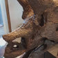 1:2 Scale, (50cm)  Juvenile Triceratops Skull
