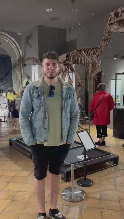 Juvenile Tyrannosaur 1:5 scale (84cm) Skeleton