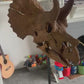 Juvenile Triceratops Skull