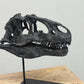 ARTICULATED, Allosaurus fragilis Skull 1:4 scale 20cm