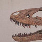Juvenile Tyrannosaur Skull 1:2 scale (17cm)