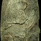 Oviraptor egg