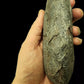 Oviraptor egg