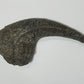 Allosaurus Claw Cast