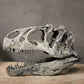 Allosaurus fragilis Skull 1:10 scale