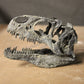 Allosaurus fragilis Skull 1:10 scale