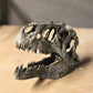 Allosaurus fragilis Skull 1:10 scale