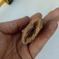 Carcharodontosaurus saharicus Fossil Tooth Cast (African T-Rex)