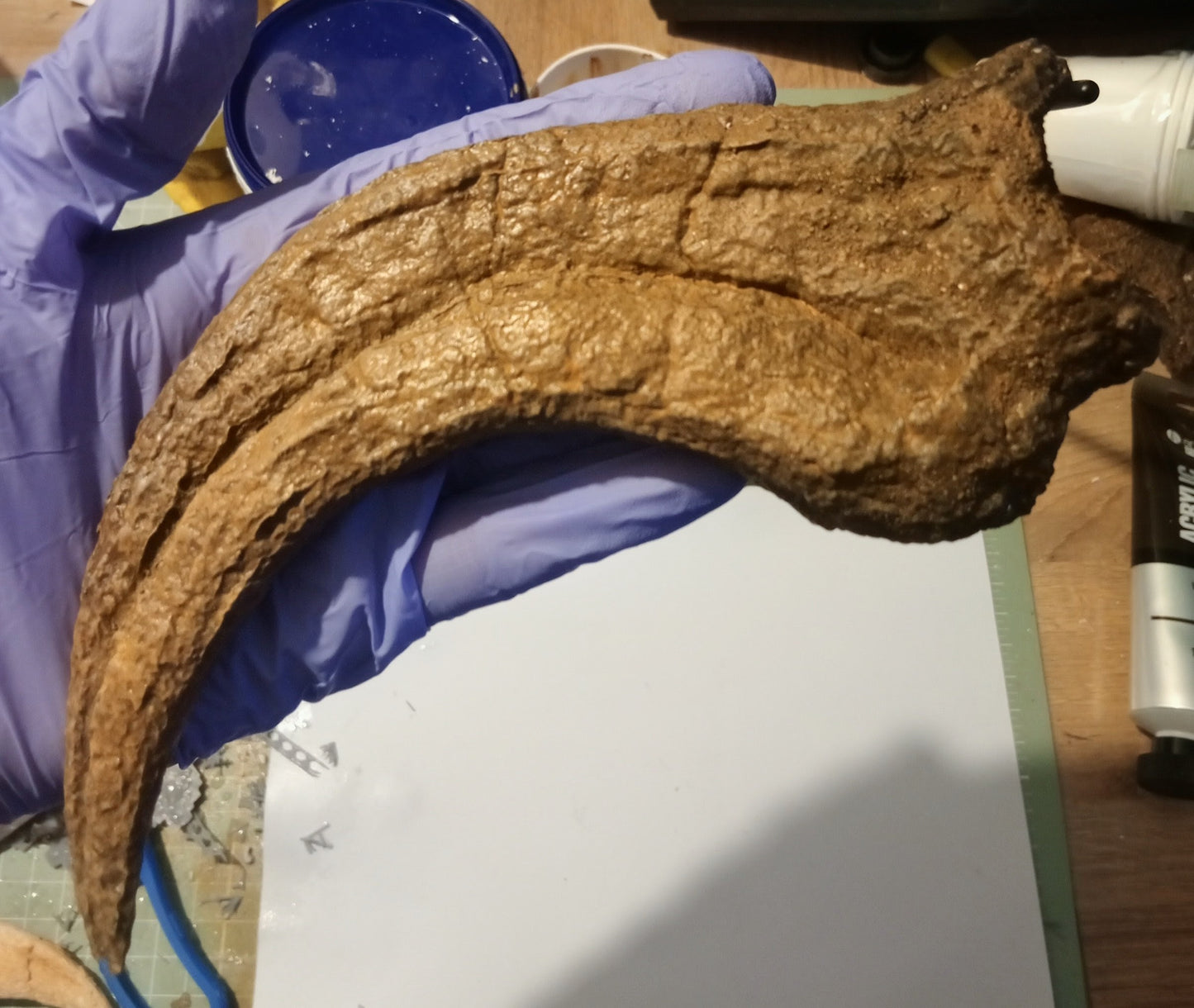 Utahraptor Claw #2 -  8 inches