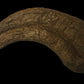 Utahraptor Claw #2 -  8 inches