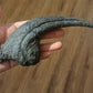 Allosaurus Claw Cast