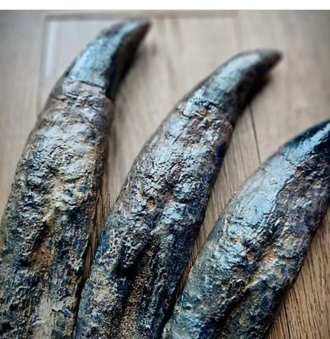 Tyrannosaurus Rex Tooth