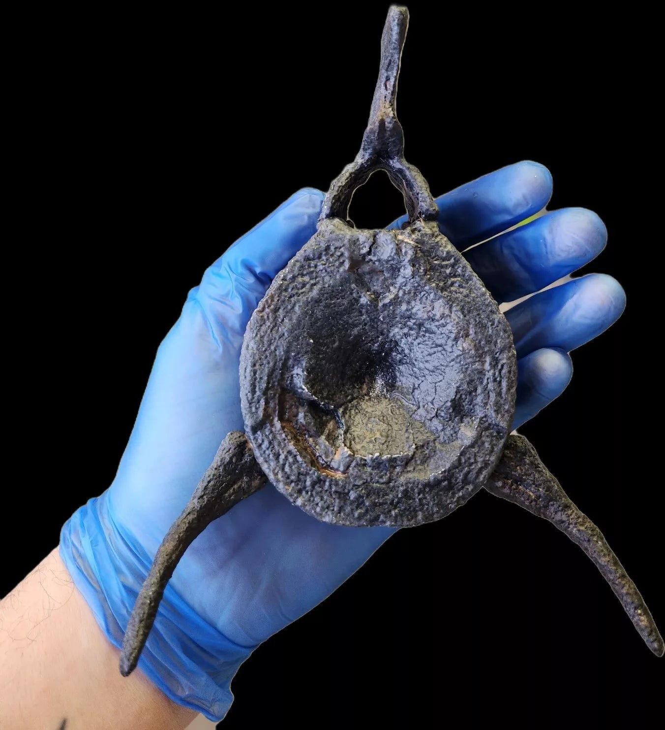 Ichthyosaur Vertebra