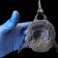 Ichthyosaur Vertebra