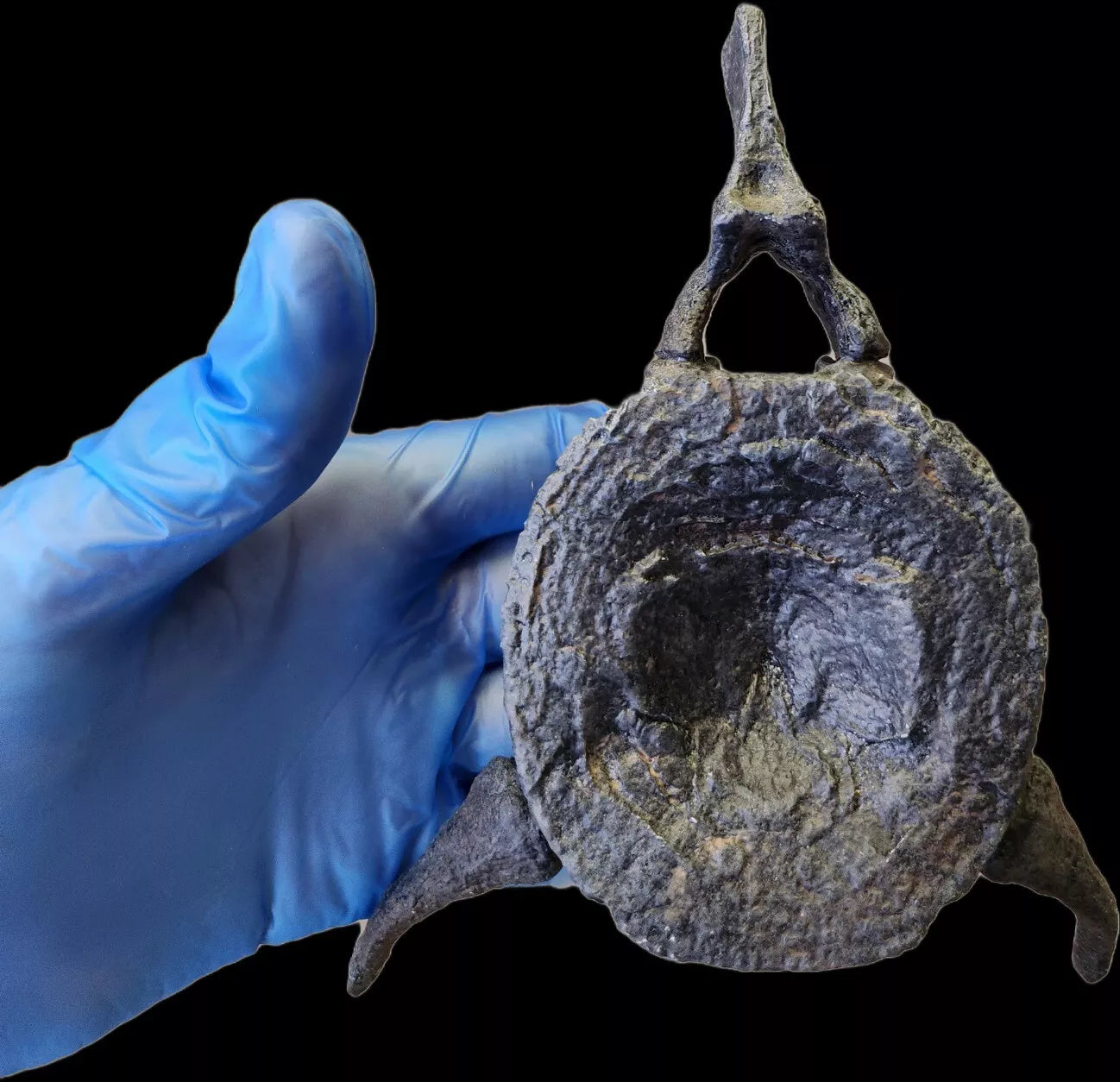 Ichthyosaur Vertebra