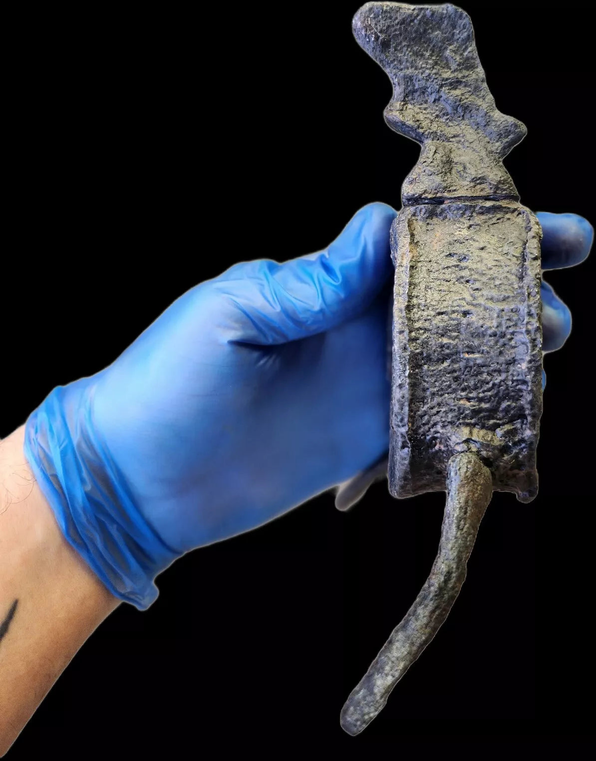 Ichthyosaur Vertebra